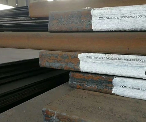 صفحه پوشیدنی NM 450
